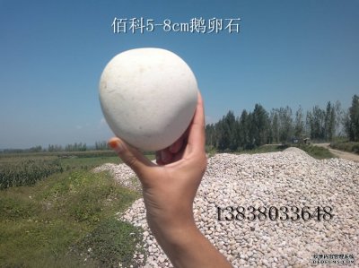 佰科5-8cm（公分）鵝卵石